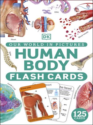 cover image of Our World in Pictures Human Body Flash Cards